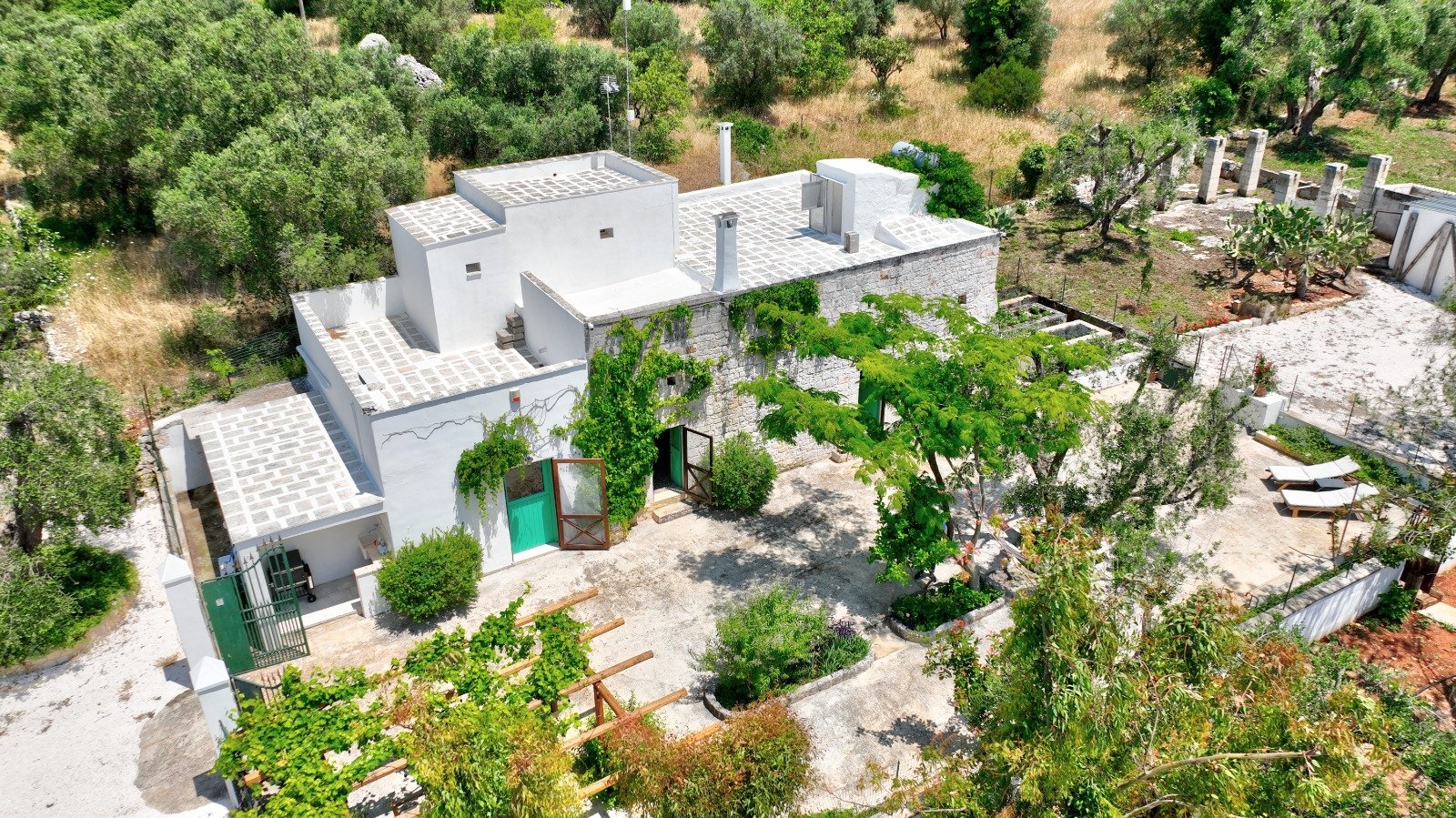Aerial view of the white buildings of the masseria among the olive trees