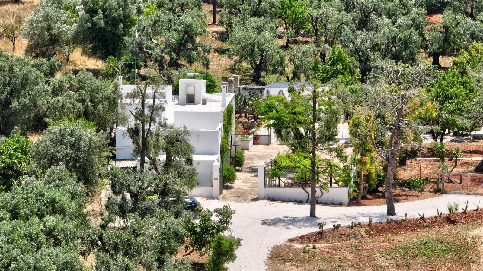 Aerial view of the masseria with its pool and olive grove in Ostuni