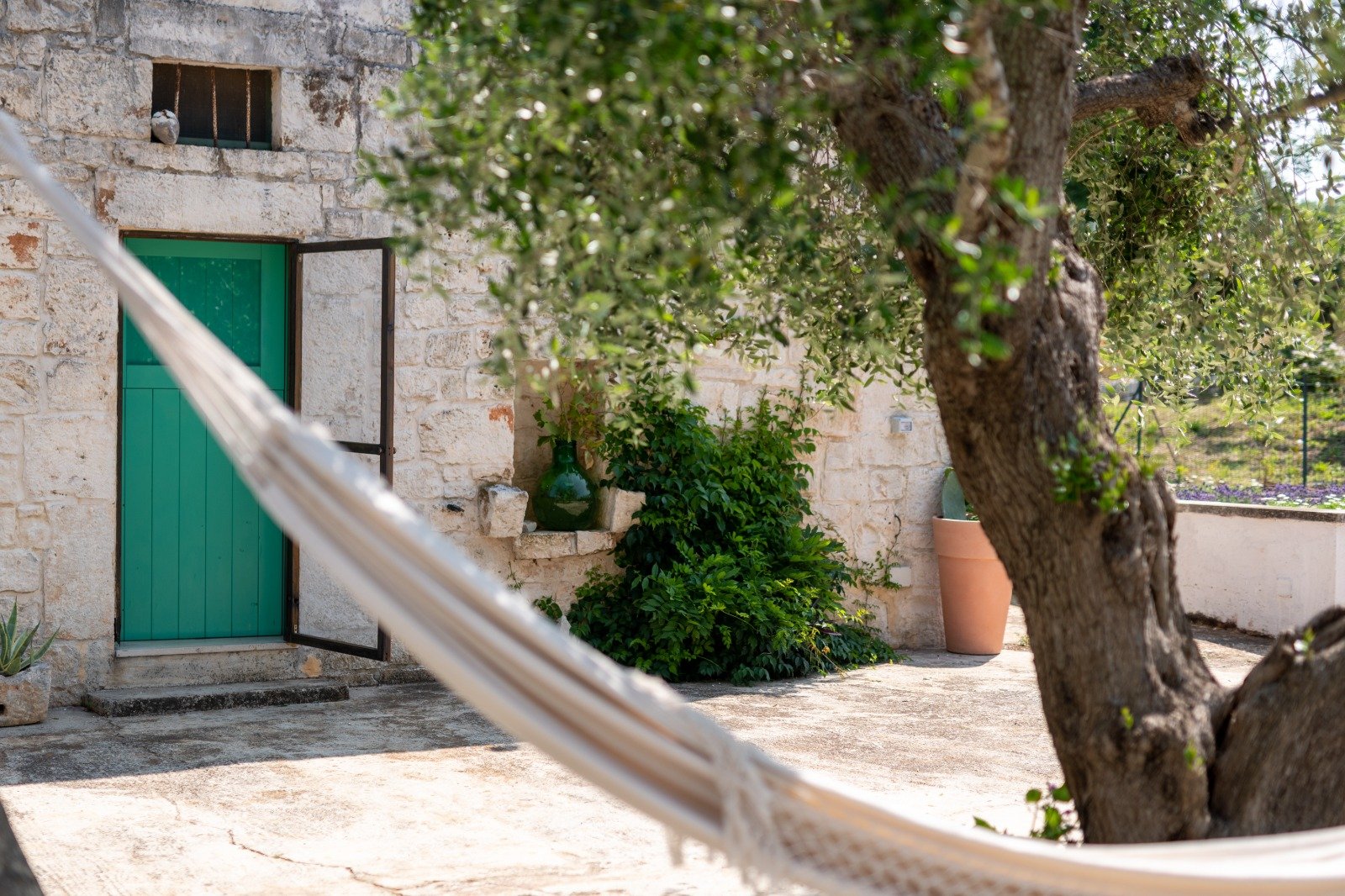 Hammock in the courtyard with an ancient olive tree and a green door at the masseria