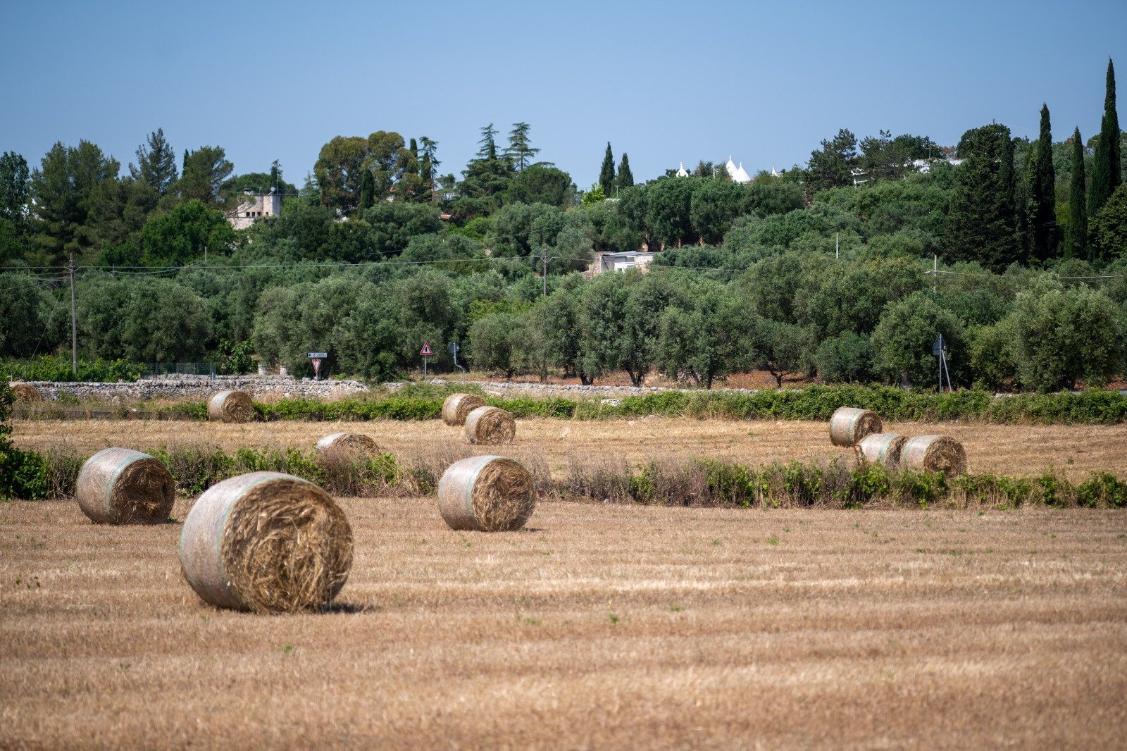 Countryside with hay bales and olive trees around Masseria Bel Cortile