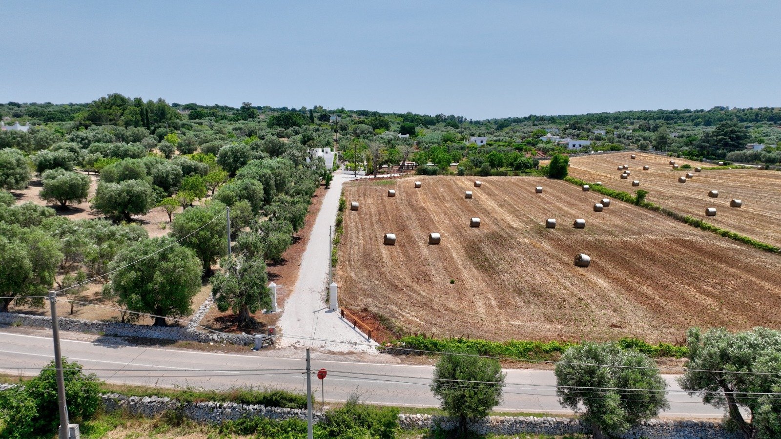 Country road through the olive groves of the Valle d'Itria, Ostuni