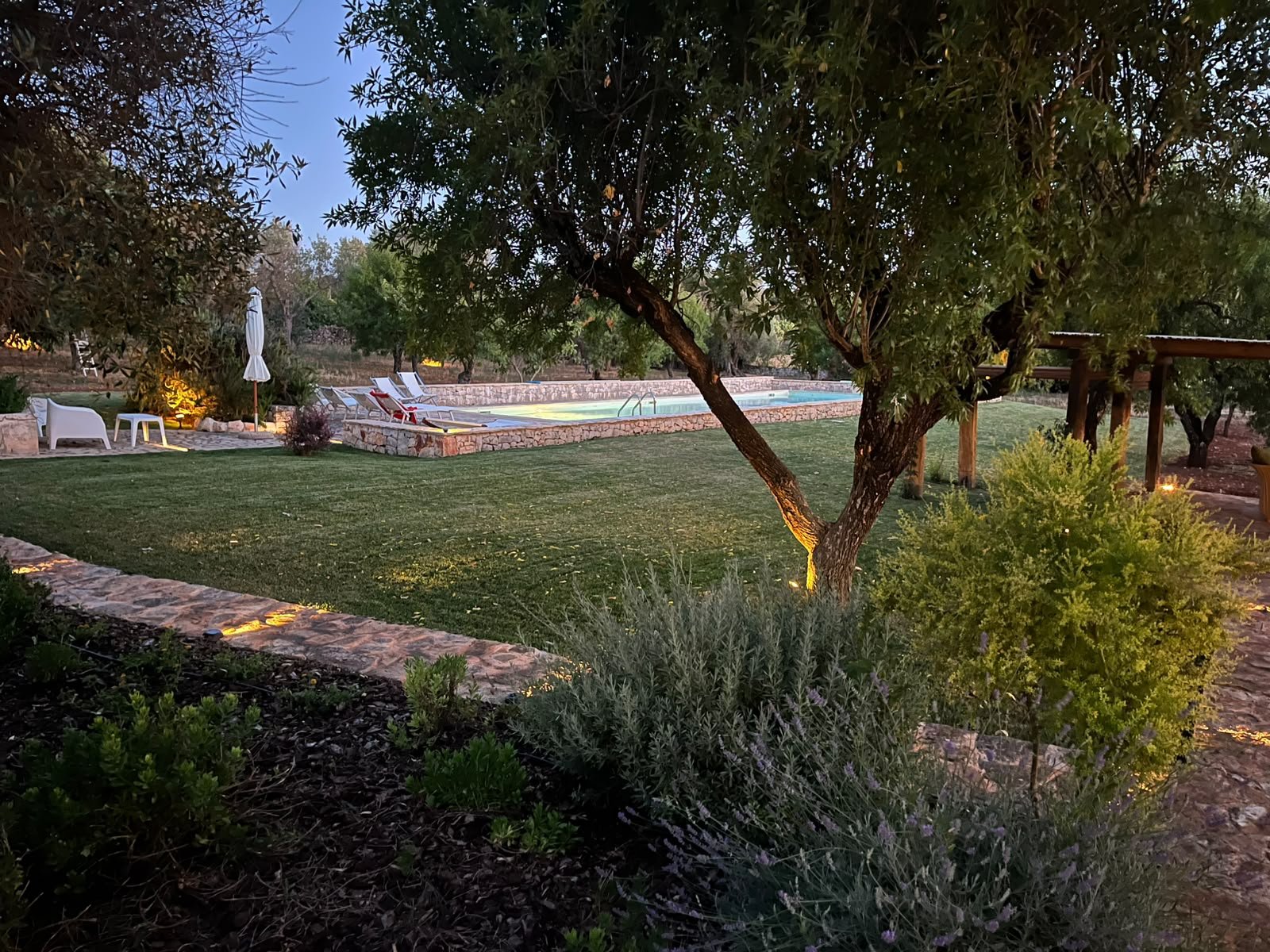 Garden in bloom with lavender and the pool at Masseria Bel Cortile