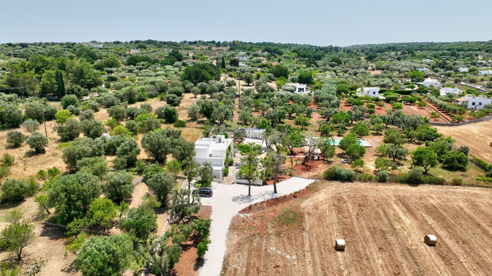 View over the olive groves of the Valle d'Itria around the masseria