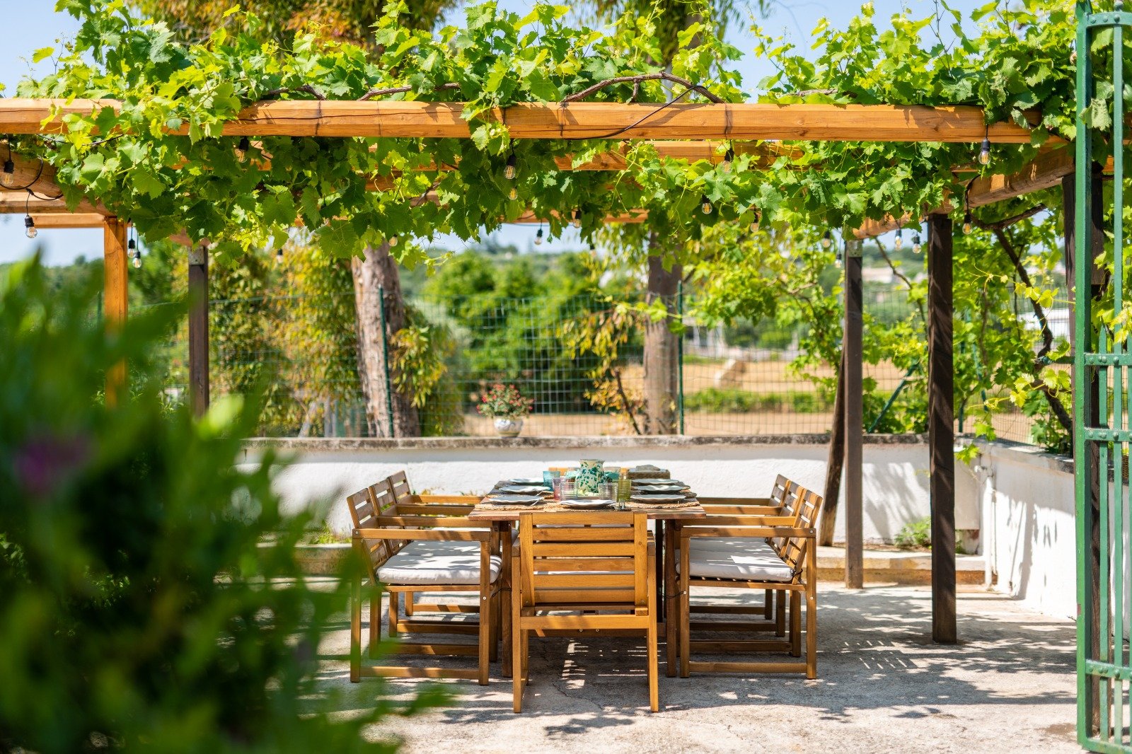 Vine-covered pergola with a dining table, masseria in Ostuni