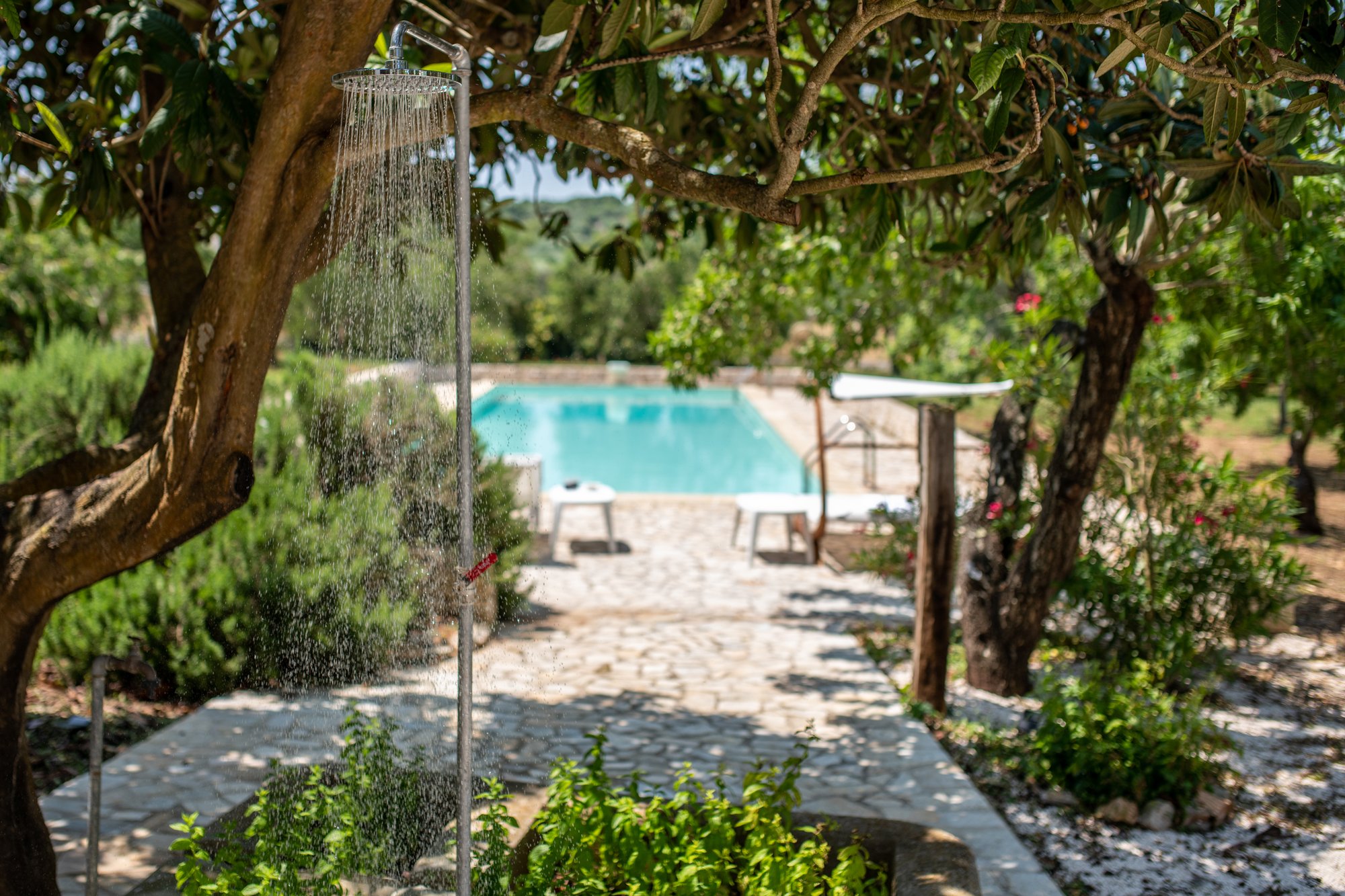 The pool at Masseria Bel Cortile, set in the garden